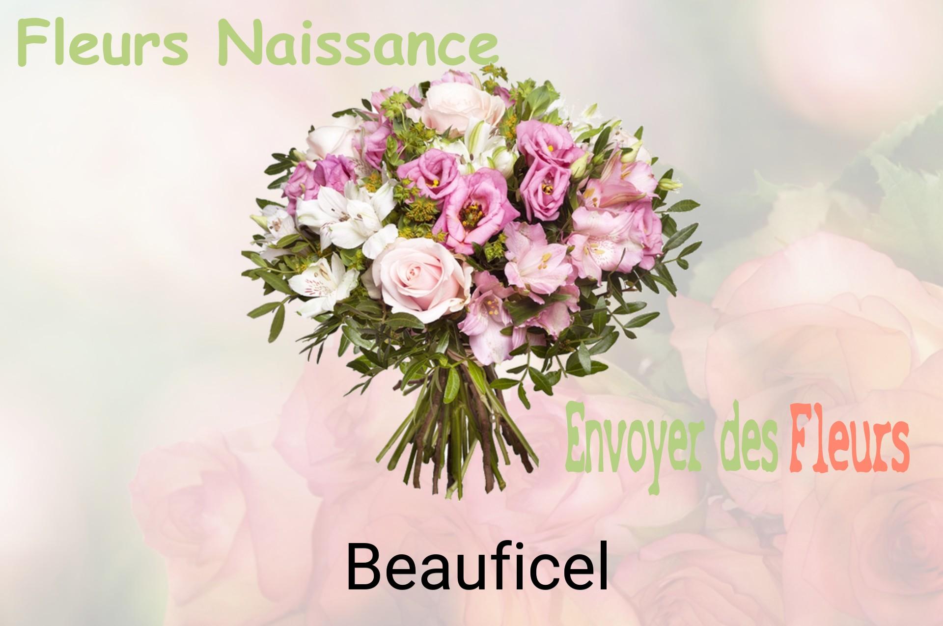 Bouquet de fleurs de naissance livré à Beauficel